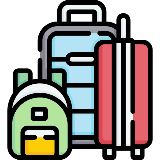 Travel Bags